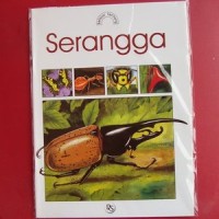 Image of Belajar tentang serangga